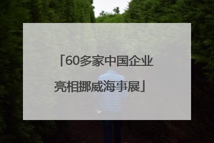 60多家中国企业亮相挪威海事展